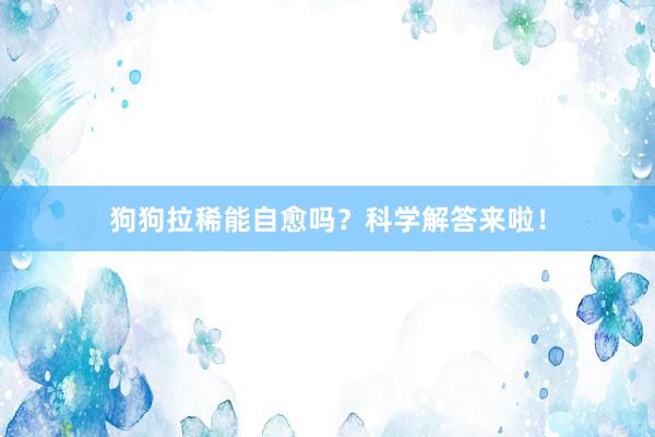 狗狗拉稀能自愈吗？科学解答来啦！