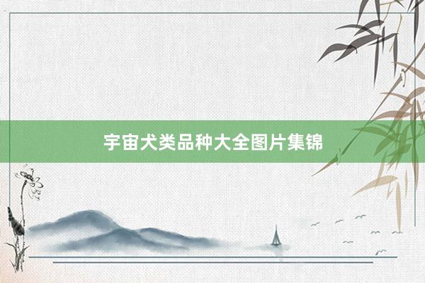 宇宙犬类品种大全图片集锦